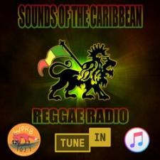 Sounds of the Caribbean w/ Selecta Jerry