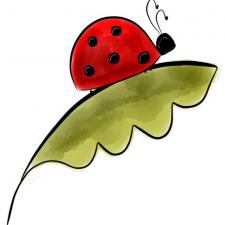the unlucky ladybug